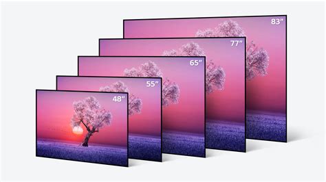 lv lg led|LG oled tv sizes.